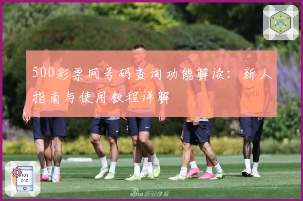 500彩票网号码查询功能解读：新人指南与使用教程详解