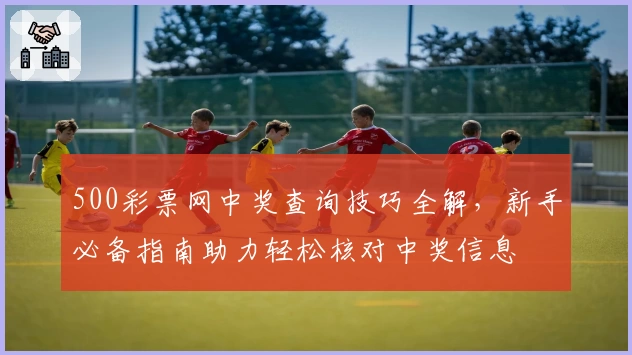 500彩票网中奖查询技巧全解，新手必备指南助力轻松核对中奖信息