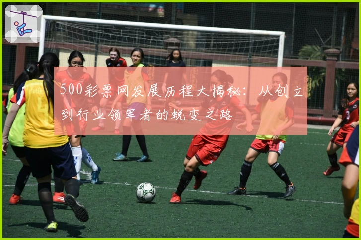 500彩票网发展历程大揭秘：从创立到行业领军者的蜕变之路
