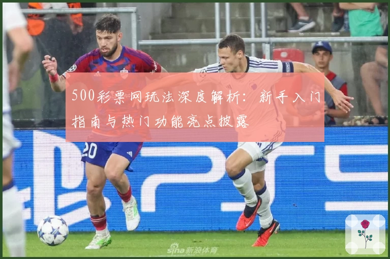 500彩票网玩法深度解析：新手入门指南与热门功能亮点披露