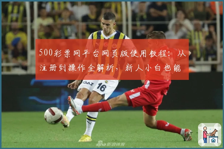 500彩票网平台网页版使用教程：从注册到操作全解析，新人小白也能轻松上手